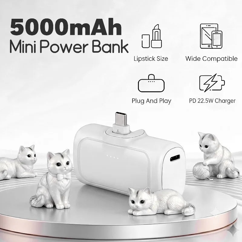 2-in-1 PD 22.5W Mini Power Bank 5000mAh, Compact Portable High Capacity External Battery Universal Charger for Travel Outdoor iPhone Samsung Android Smartphones